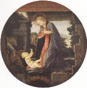 Sandro Botticelli Madonna in Adoration of the Christ Child (mk36) oil